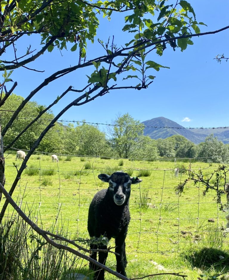 Easter Breaks 🐣